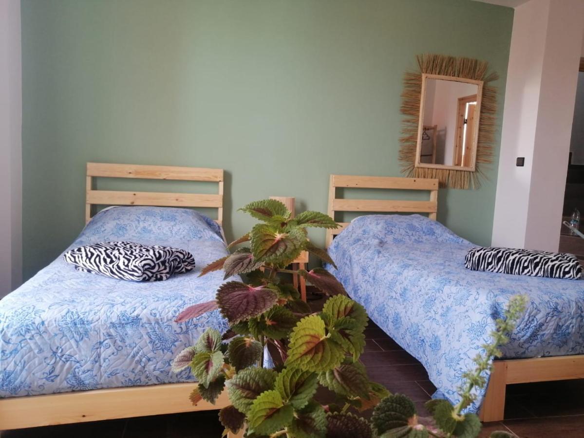 אימסואן Dar Mouja, Eco-Friendly Home מראה חיצוני תמונה